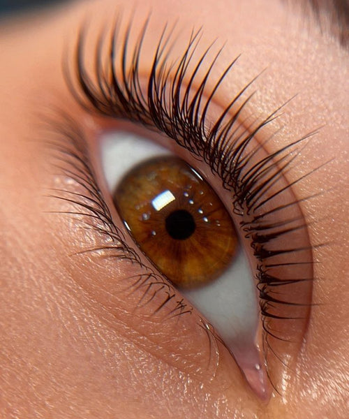 Lash lift and tint result
