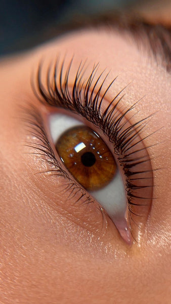 Lash lift and tint result